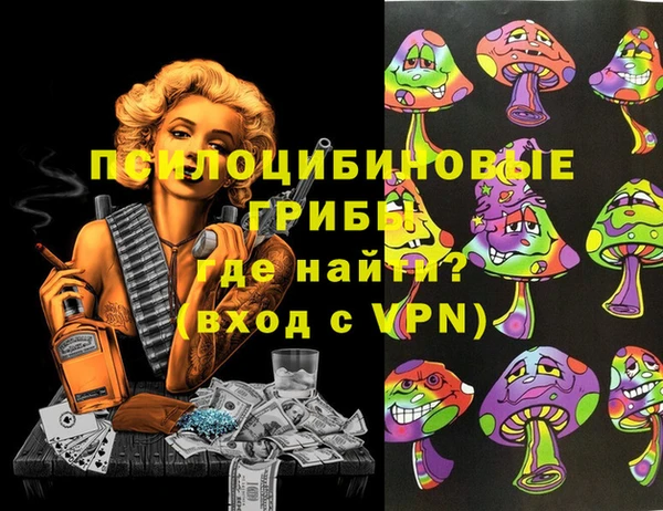 твердый Алексеевка
