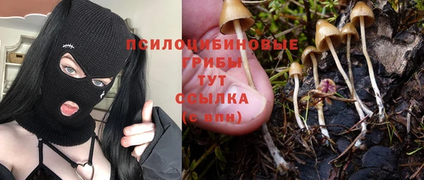 твердый Алексеевка