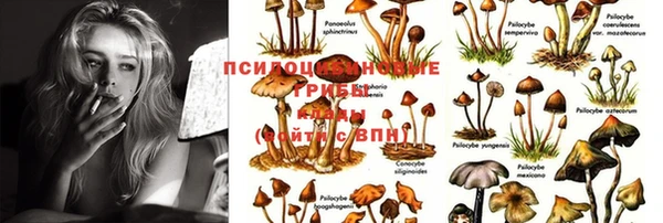 MESCALINE Абинск